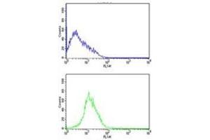 Flow Cytometry (FACS) image for anti-Cyclin-Dependent Kinase 4 (CDK4) (AA 273-305) antibody (ABIN3030613)