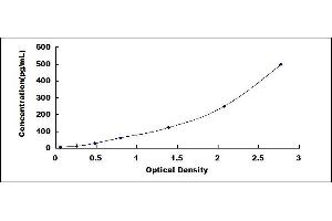 Typical standard curve (CCL21 ELISA 试剂盒)