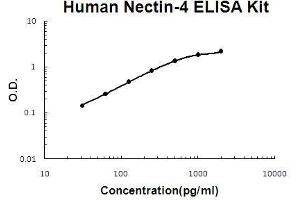 Human Nectin-4 PicoKine ELISA Kit standard curve (PVRL4 ELISA 试剂盒)
