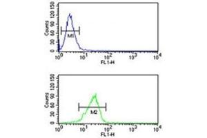 Flow Cytometry (FACS) image for anti-Paired-Like Homeodomain 1 (PITX1) (AA 123-150) antibody (ABIN3032139)