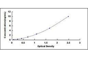 Integrin, alpha 6 (ITGA6) ELISA Kit
