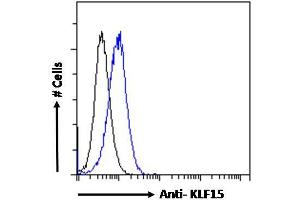 ABIN184761 Flow cytometric analysis of paraformaldehyde fixed HepG2 cells (blue line), permeabilized with 0. (KLF15 抗体  (N-Term))