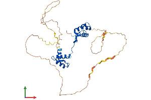 Protein Structure (PS) image for Paired Box 9 (PAX9) (AA 1-342) protein (His tag) (ABIN7563285)