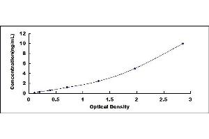 Typical standard curve (YY1 ELISA 试剂盒)