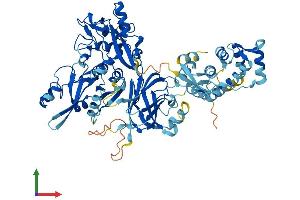 AlphaFold protein structure predicition of Human Recombinant CAPN12 Protein, UniprotID Q6ZSI9