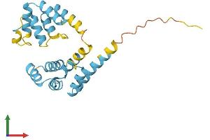AlphaFold protein structure predicition of Human Recombinant FADD Protein, UniprotID Q13158 (FADD Protein (AA 1-208) (His tag))