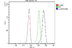 Flow Cytometry analysis of SiHa cells using anti-Caspase 4 antibody (ABIN5693193). (Caspase 4 抗体  (AA 111-194))