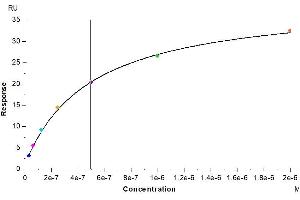 Surface Plasmon Resonance (SPR) image for Interleukin 5 Receptor, alpha (IL5RA) (AA 18-339) protein (His tag) (ABIN7275042)
