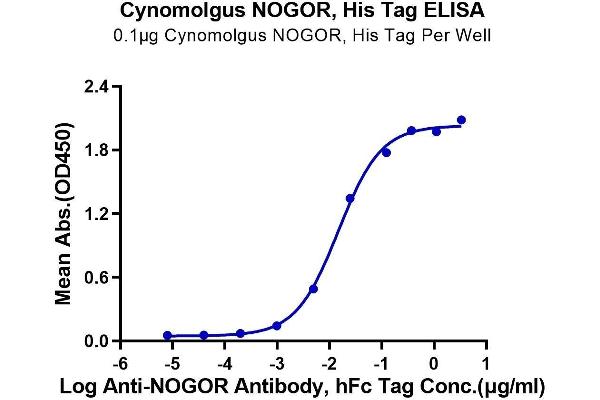 Reticulon 4 Protein (RTN4) (AA 27-447) (His tag)