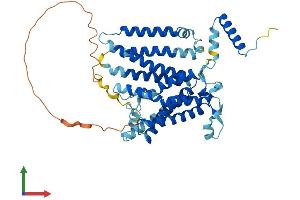 Protein Structure (PS) image for CDP-Diacylglycerol Synthase (Phosphatidate Cytidylyltransferase) 1 (CDS1) (AA 1-461) protein (His tag) (ABIN7553274)