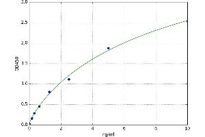 A typical standard curve (Claudin 5 ELISA 试剂盒)