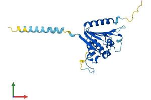 Protein Structure (PS) image for Phospholipase D Family, Member 6 (PLD6) (AA 1-221) protein (His tag) (ABIN7563850)