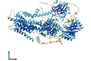 Protein Structure (PS) image for ATPase, Class I, Type 8B, Member 4 (ATP8B4) (AA 1-1192) protein (His tag) (ABIN7552532)