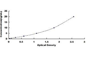 Typical standard curve (Lipophilin B ELISA 试剂盒)