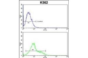 Flow Cytometry (FACS) image for anti-Sortilin-Related VPS10 Domain Containing Receptor 1 (SORCS1) (AA 126-154), (N-Term) antibody (ABIN652682)