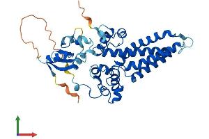 AlphaFold protein structure predicition of Human Recombinant FA2H Protein, UniprotID Q7L5A8