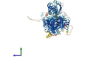 Protein Structure (PS) image for ATPase, Aminophospholipid Transporter, Class I, Type 8B, Member 2 (ATP8B2) (AA 1-1209) protein (His tag) (ABIN7563571)