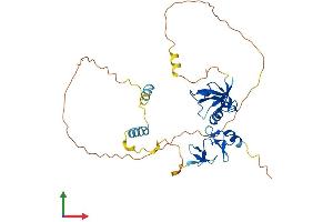 Protein Structure (PS) image for PDZ and LIM Domain 2 (PDLIM2) (AA 1-349) protein (His tag) (ABIN7559668)