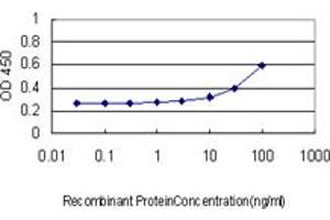 Detection limit for recombinant GST tagged IKZF3 is approximately 10ng/ml as a capture antibody. (IKZF3 抗体  (AA 1-509))