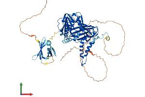 AlphaFold protein structure predicition of Mouse Recombinant Carm1 Protein, UniprotID Q9WVG6