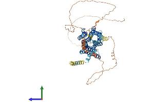 AlphaFold protein structure predicition of Human Recombinant CHRM3 Protein, UniprotID P20309
