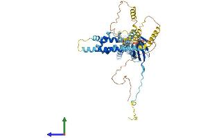 AlphaFold protein structure predicition of Human Recombinant VANGL2 Protein, UniprotID Q9ULK5