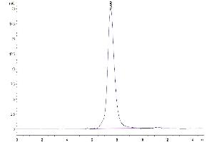 Size-exclusion chromatography-High Pressure Liquid Chromatography (SEC-HPLC) image for Interleukin 18 Binding Protein (IL18BP) (AA 29-193) protein (Fc Tag) (ABIN7274983)