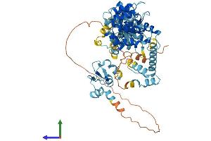 AlphaFold protein structure predicition of Human Recombinant BIRC3 Protein, UniprotID Q13489