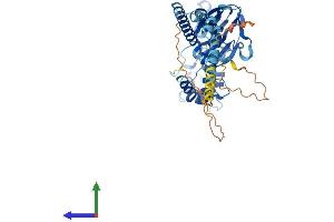 Protein Structure (PS) image for Amiloride-Sensitive Cation Channel 3 (ACCN3) (AA 1-531) protein (His tag) (ABIN7552330)