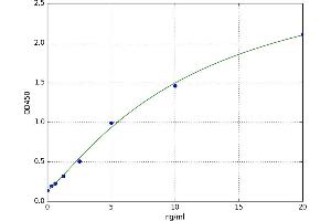 NK2 Homeobox 1 (NKX2-1) ELISA Kit