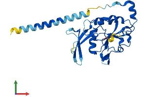Protein Structure (PS) image for CTD Nuclear Envelope Phosphatase 1a (CTDNEP1A) (AA 1-244) protein (His tag) (ABIN7546620)