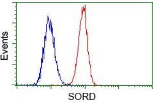 Image no. 1 for anti-Sorbitol Dehydrogenase (SORD) antibody (ABIN1501072) (SORD 抗体)