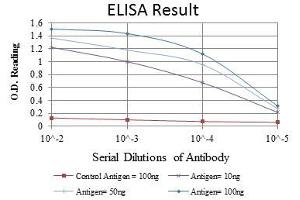ELISA image for anti-Mast/stem Cell Growth Factor Receptor (KIT) antibody (ABIN969237)