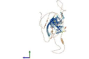 Protein Structure (PS) image for Cell Cycle and Apoptosis Regulator 2 (CCAR2) (AA 1-922) protein (His tag) (ABIN7564749)