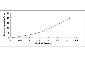 Typical standard curve (CBP ELISA 试剂盒)