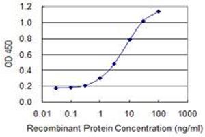 Detection limit for recombinant GST tagged CYLD is 0. (CYLD 抗体  (AA 854-953))