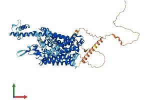 Protein Structure (PS) image for Solute Carrier Family 6, Member 17 (SLC6A17) (AA 1-727) protein (His tag) (ABIN7555369)