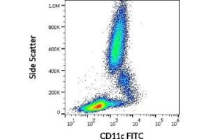 Flow cytometry surface staining pattern of human peripheral whole blood stained using anti-human CD11c (BU15) FITC antibody (20 μL reagent / 100 μL of peripheral whole blood). (CD11c 抗体  (FITC))