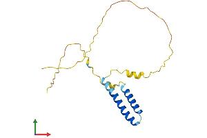 Protein Structure (PS) image for Signal Peptidase Complex Subunit 1 (SPCS1) (AA 1-161) protein (His tag) (ABIN7561155)