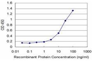 Detection limit for recombinant GST tagged FOXO1A is approximately 1ng/ml as a capture antibody. (FOXO1 抗体  (AA 556-655))