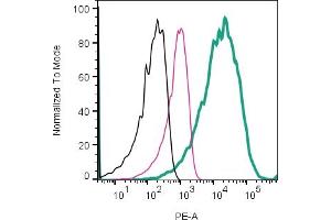 Cell surface detection of CD81 by direct flow cytometry in live intact intact U87- derived extracellular vesicles (EVs):U87- derived EVs. (CD81 抗体  (Extracellular) (PE))