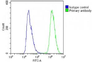 Overlay histogram showing A431 cells stained with (ABIN6242802 and ABIN6578791)(green line). (IL23A 抗体  (AA 33-67))
