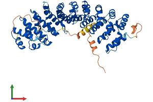 Protein Structure (PS) image for Karyopherin alpha 7 (Importin alpha 8) (KPNA7) (AA 1-499) protein (His tag) (ABIN7562079)
