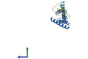 AlphaFold protein structure predicition of Human Recombinant TIMM22 Protein, UniprotID Q9Y584