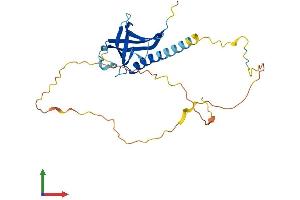 AlphaFold protein structure predicition of Human Recombinant NECAP1 Protein, UniprotID Q8NC96