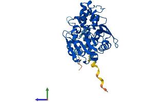 AlphaFold protein structure predicition of Mouse Recombinant Ephx4 Protein, UniprotID Q6IE26