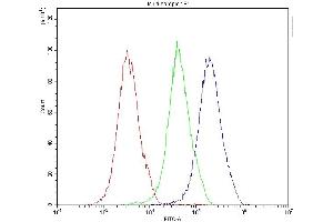 anti-Major Vault Protein (MVP) (AA 2-259) antibody