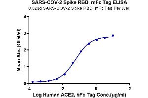 ELISA image for SARS-CoV-2 Spike (RBD) protein (mFc Tag) (ABIN7274398)