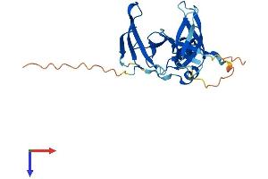 AlphaFold protein structure predicition of Mouse Recombinant Ssty1 Protein, UniprotID P13675