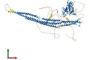Protein Structure (PS) image for SLIT-ROBO rho GTPase Activating Protein 2 (SRGAP2) (AA 1-1071) protein (His tag) (ABIN7564827)